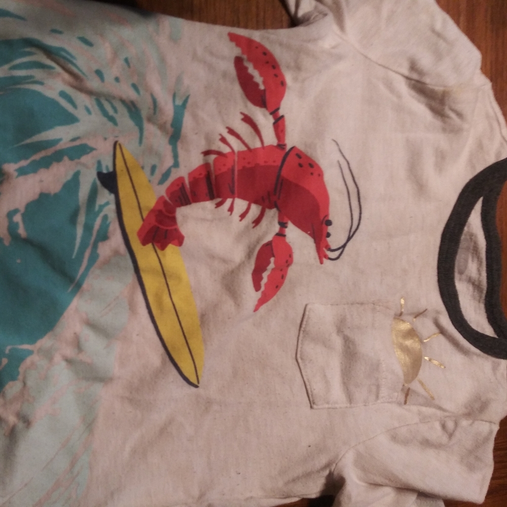 3t boy shirt